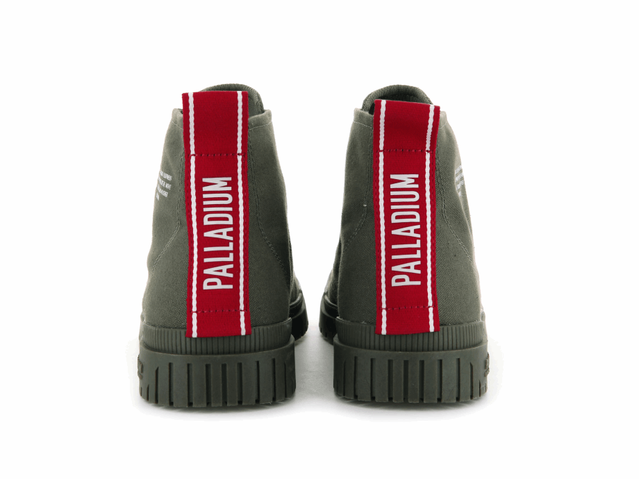 Oliva Noche Pampa Sp20 Dare Paladio