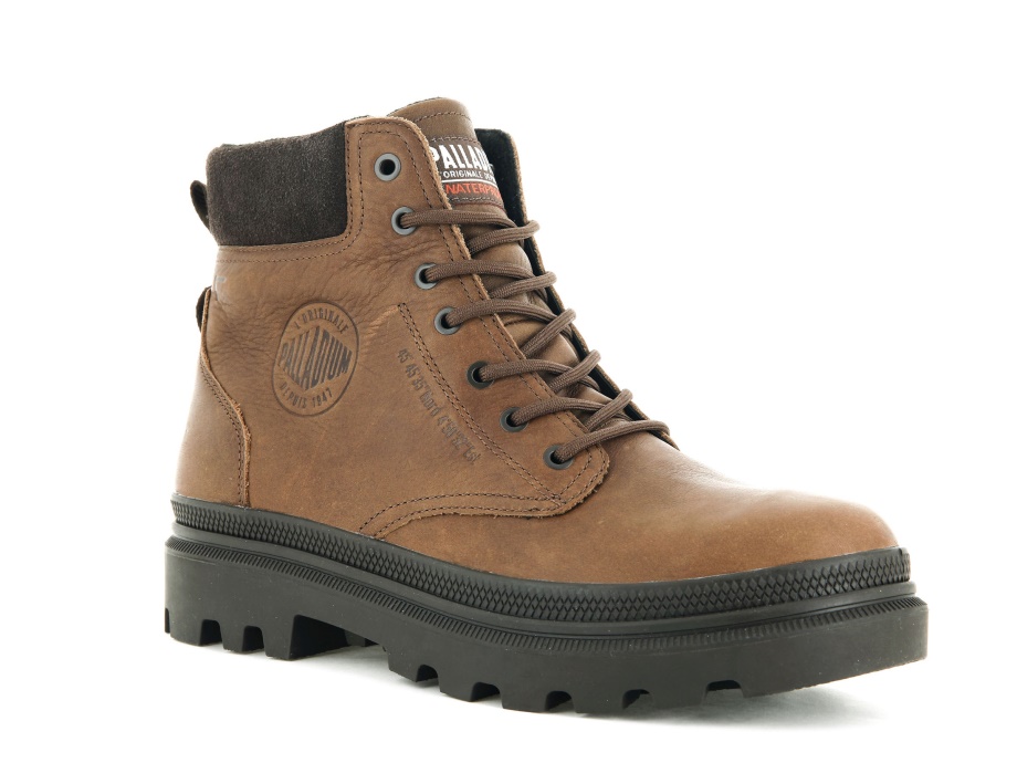 Estudio Bronceado Paladio 02