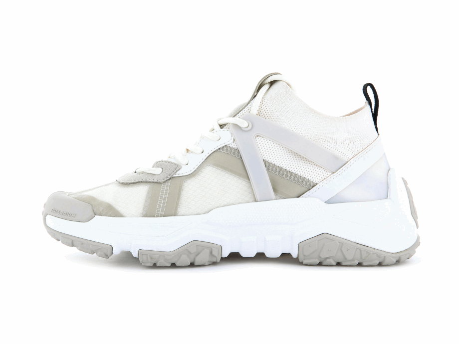 Paladio Fuera De La Red Lo Aventura Estrella Blanco