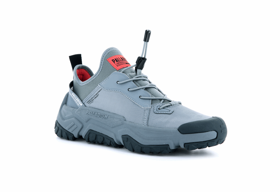 Paladio Fuera De La Red Lo Nyl Monumento