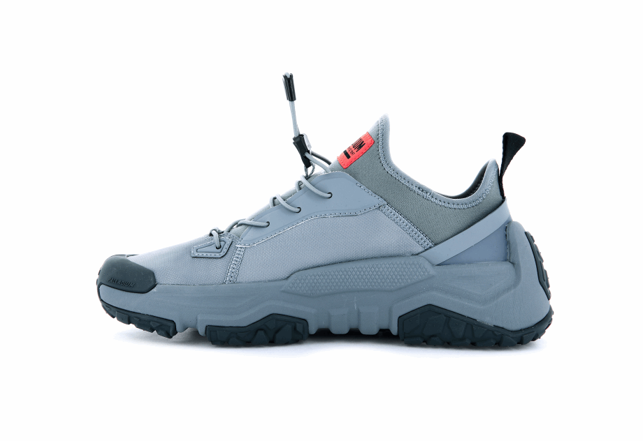 Paladio Fuera De La Red Lo Nyl Monumento