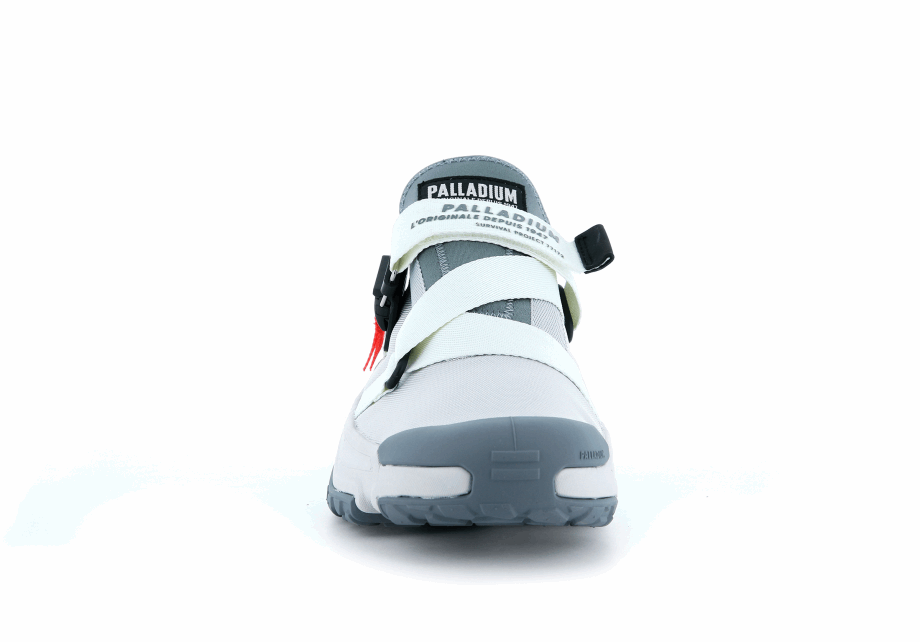 Paladio Fuera De La Red Baja Utilidad Gris Glaciar