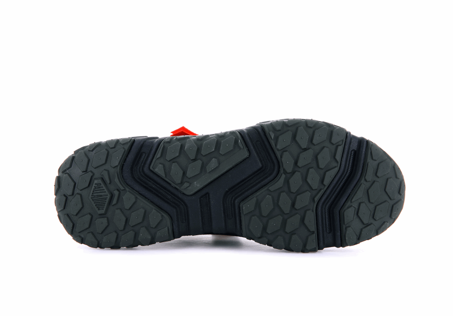 Paladio Fuera De La Red Baja Utilidad Oliva Noche