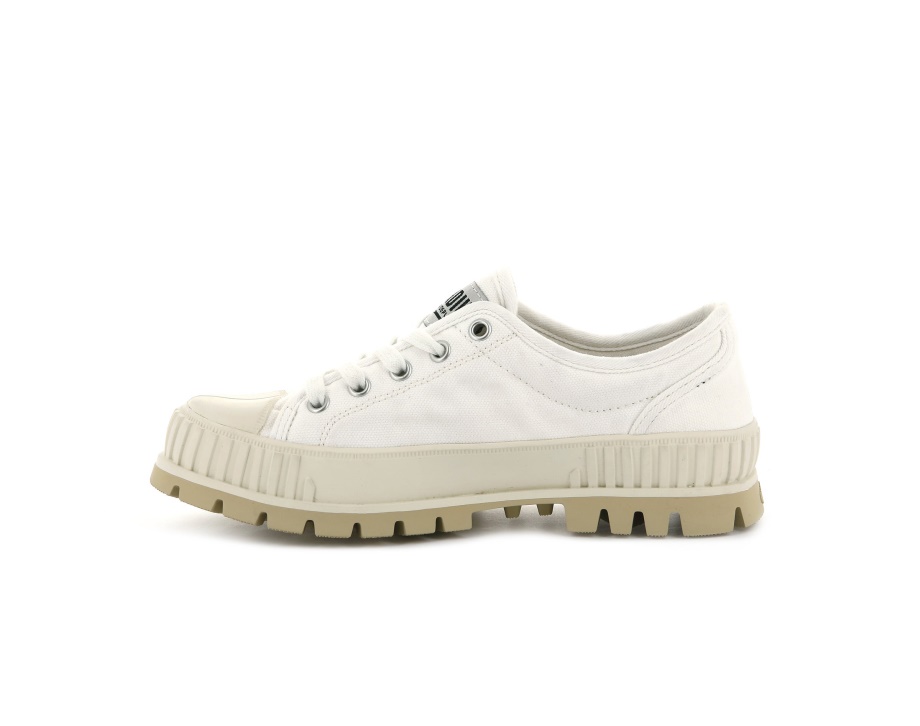 Paladio Pallashock Y Malvavisco