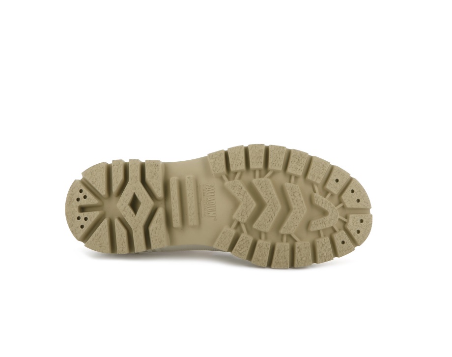 Paladio Pallashock Y Malvavisco