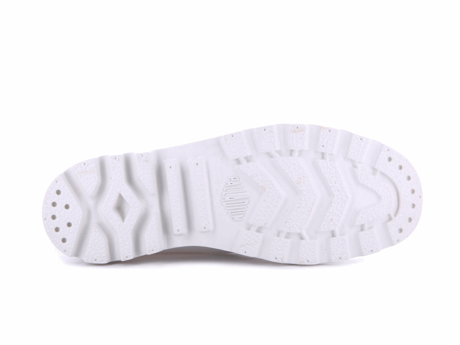 Paladio Pampa Hola Boleto A La Tierra Estrella Blanca