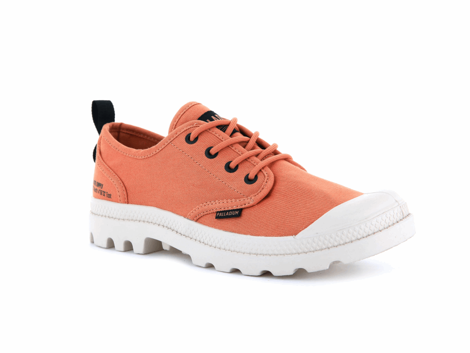 Paladio Pampa Oxford Herencia Fuente Arenisca