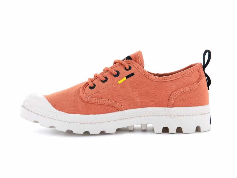 Paladio Pampa Oxford Herencia Fuente Arenisca