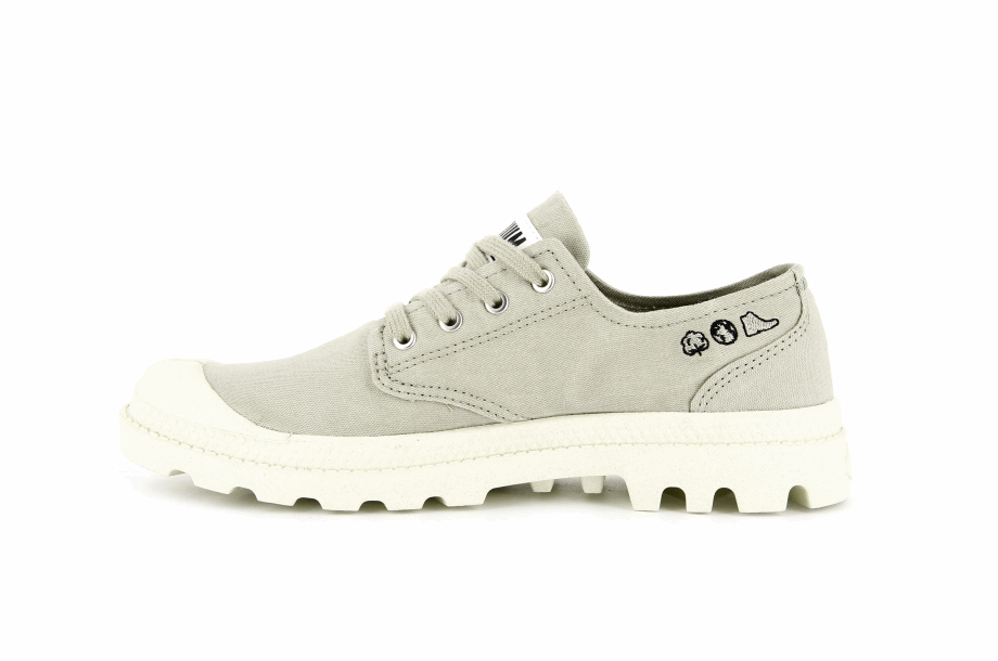 Paladio Pampa Oxford Orgánico Ii Eucalipto