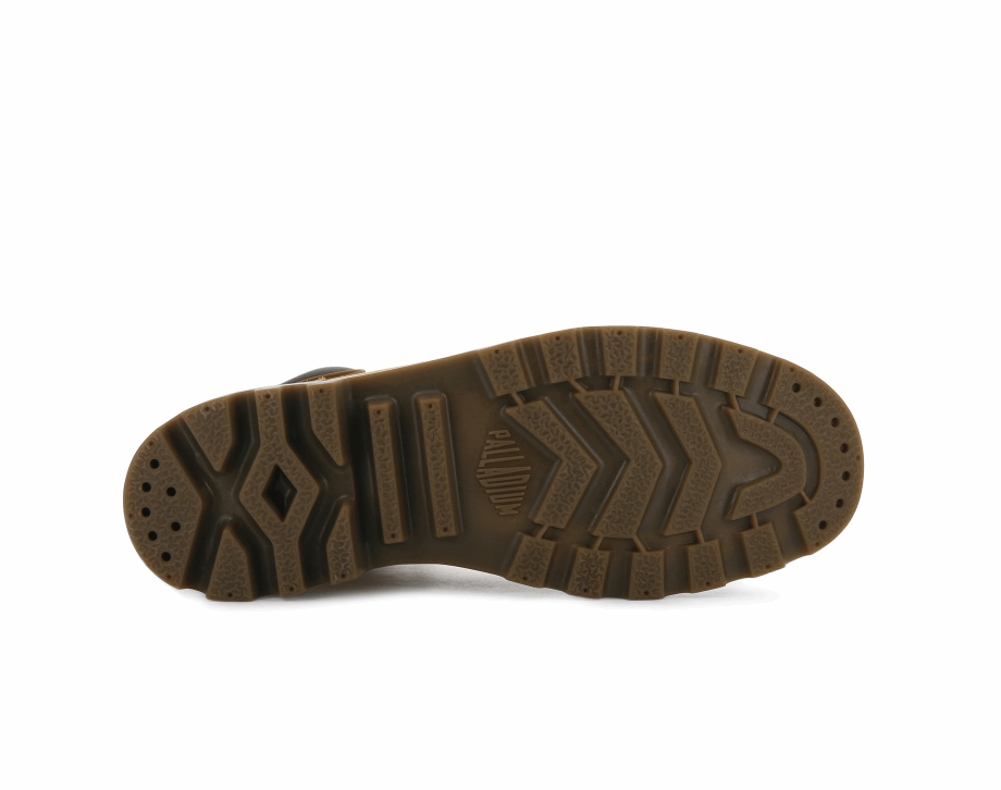 Paladio Pampa Escudo Wp Lux ámbar Oro