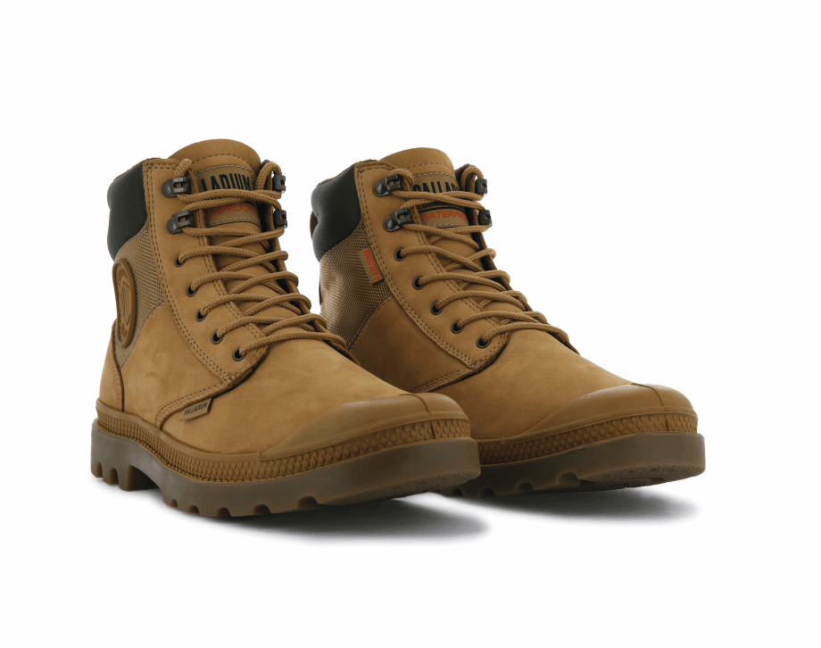 Paladio Pampa Escudo Wp Lux ámbar Oro