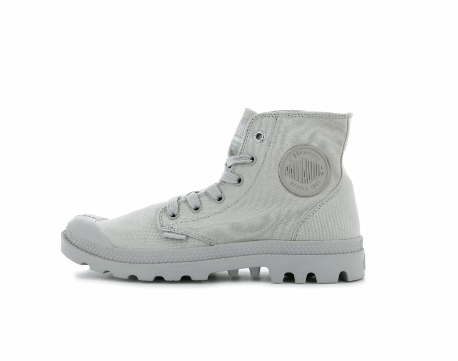 Paladio Monocromático Día Lluvioso