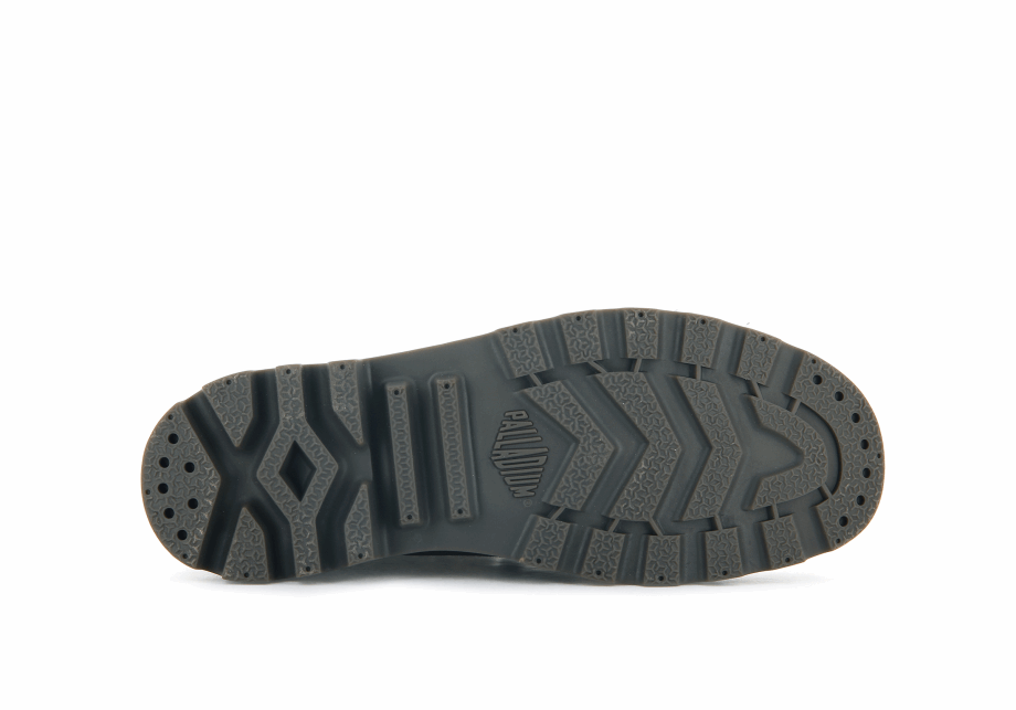 Paladio Pampa Hola Cera Negra